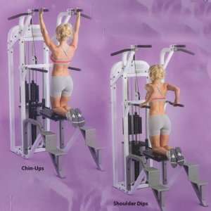  DynamaxPro Weight Assist Chin Up / Dip Combo DX 2 8020 