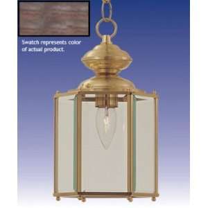  FTS    PENDANT OUTDOOR   101 330 41