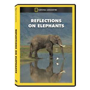  National Geographic Reflections on Elephants DVD Exclusive 