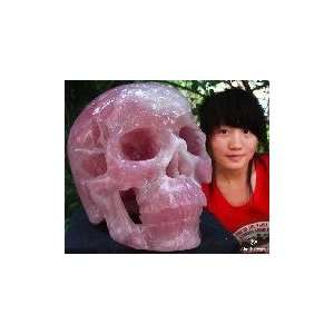   CLEAR TITAN Pink Rose Crystal Super Realistic Skull
