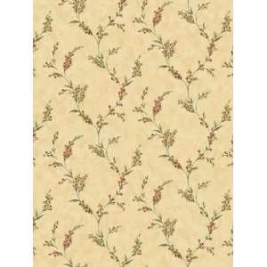  Wallpaper Steves Color Collection   Yellow BC1581546
