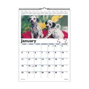   Calendar, Puppies, 12 x 17, January December 2010