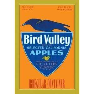    Vintage Art Bird Valley Brand Apples   12871 2