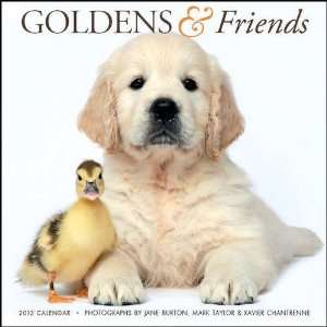  Goldens & Friends 2012 Wall Calendar