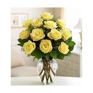 Rose Elegance Premium Long Stem Yellow Roses   One Dozen Yellow Roses 