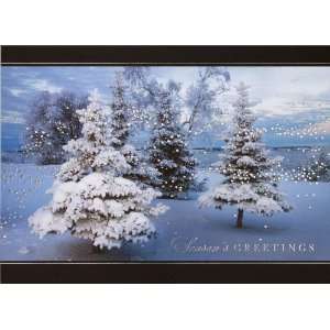  Winter Forest Evening   100 Cards