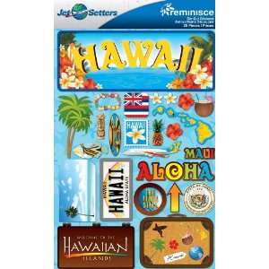 Reminisce Jet Setters 2 3 Dimensional Sticker, Hawaii 