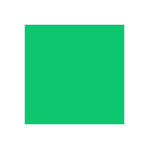  Rosco E Color 322 Soft Green Gel Filter Sheet Electronics