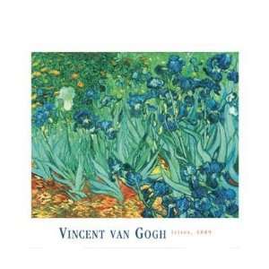 Vincent Van Gogh   Iriss 