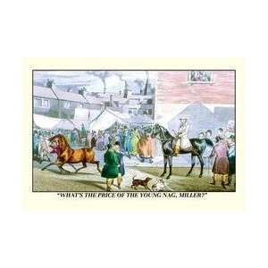  Whats the Price of the Young Nag Miller 24x36 Giclee 
