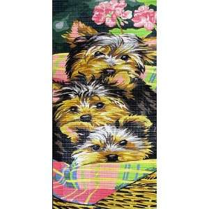  YORKIE PUPPIES IN A BASKET NEEDLEPOINT CANVAS Arts 
