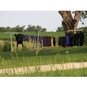  Amish Clothesline Print (8 x 10)