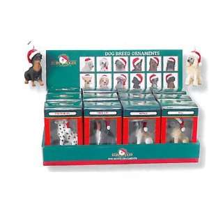  Club Pack of 35 Cat & Dog Santa Claus Hat Christmas 