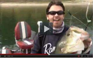   the mad shad rig in action on YouTube http//youtu.be/4rkYNzPCa98