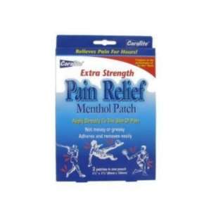  2 Ct Pain Relieving Patch Case Pack 48   893555 Health 