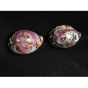 Carved Cowry Sealife Shells 