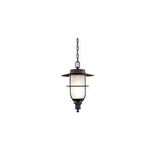  World Imports   9076 99  1 Lt. Hanging Glass in Iron 