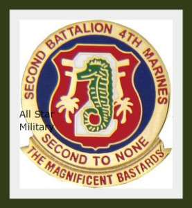 2nd Battalion 4th Marines BN 2/4 Mar Us Marine Corps USMC Biker Lapel 