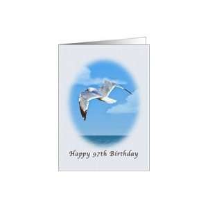  97th Birthday, Ring billed Gull Bird Card Toys & Games