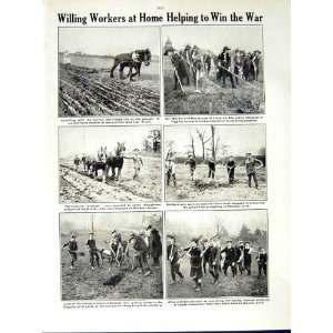  World War 1917 18 Prisoners British Switzerland Farming 