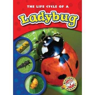 The Life Cycle of a Ladybug (Paperback) (Blastoff Readers Life 