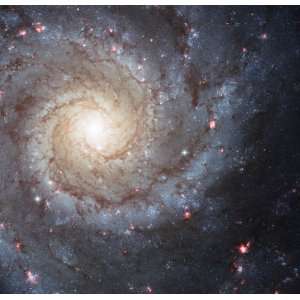 Hubble Space Telescope Astronomy Poster Print   Spiral Galaxy M74   24 