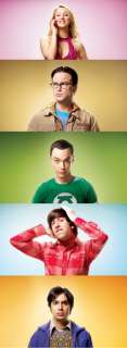 The Big Bang Theory Season 5 TV Show 38 Poster 17C  