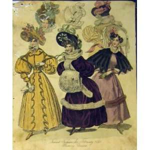  Womens Fashion 1831 Morning Dresses Hats Fur Colour