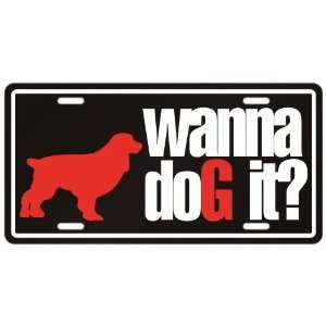 New  Boykin Spaniel / Wanna Dog It ?  License Plate Dog  