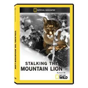  National Geographic Stalking the Mountain Lion DVD R 