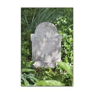  Cattus Domestic Grave Stone