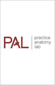 Practice Anatomy Lab 2.0 CD ROM, (032154725X), Ruth Heisler, Textbooks 