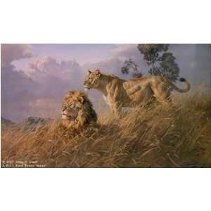    Donald Grant   African Evening Lions Artists Proof