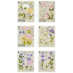  3pc Worksheet Pack 8 1/2 X12  Wildflowers Arts, Crafts 