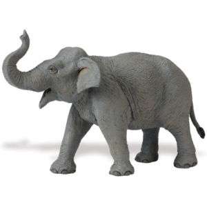 ASIAN ELEPHANT~Big 2010 Release  FREE SHIPw/$25+Safari  