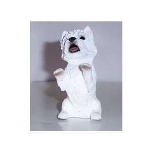  West Highland Terrier   Standing