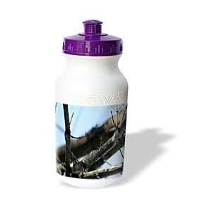  Mirmak Nature   mystic 1   Water Bottles Sports 