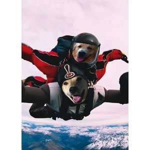  BIRTHDAY W/ DOGS SKYDIVING