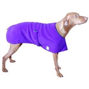  Vizsla Spring Fall Dog Coat
