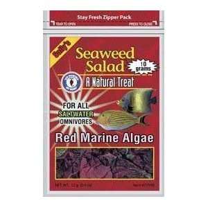  San Fransisco Bay Seaweed Salad Red 4 Count 12 Grams Pet 