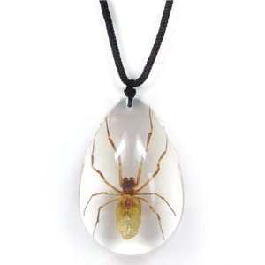 Real Insect Necklace Spider Large