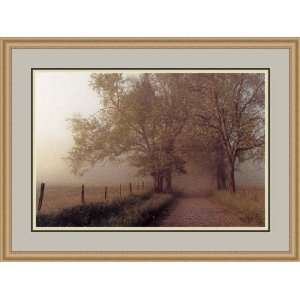  Morning Mist by Tony Sweet   Framed Artwork