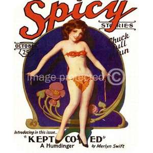  Spicy Screen Stories Vintage Pinup Girl Art MOUSE PAD 