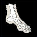 to suggest treatments for abnormal foot conditions any such cases 