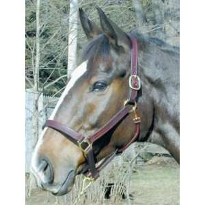   Leather Track Halter Brown, Warmblood 