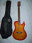 string Electric and Acoustic Guitar, Fretless with case