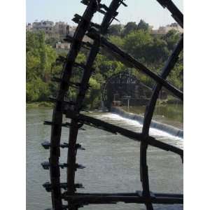 Water Wheels on the Orontes River, Hama, Syria, Middle East 