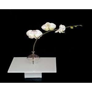  Illusion Vase White