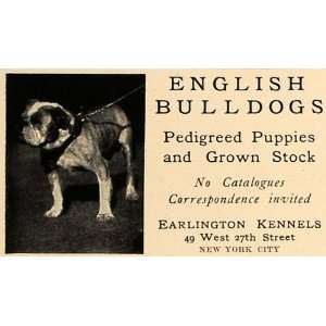   Ad English Bulldog Classified Earlington Kennels   Original Print Ad