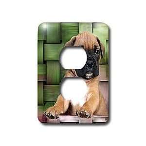 Dogs Boxer   Brindle Boxer Puppy   Light Switch Covers   2 plug outlet 